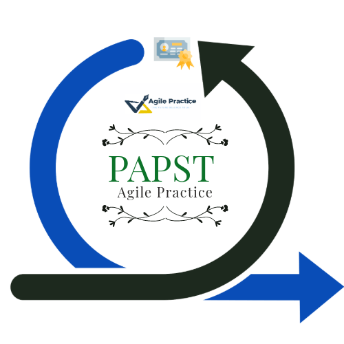 Professional Agile Practice Scrum Trainer