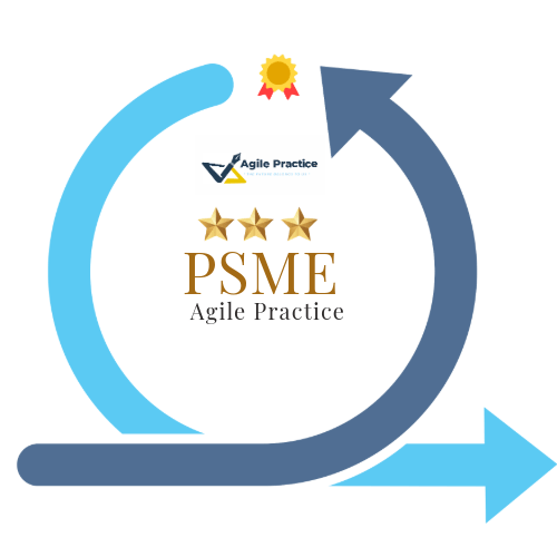 Project Scrum Master Expert