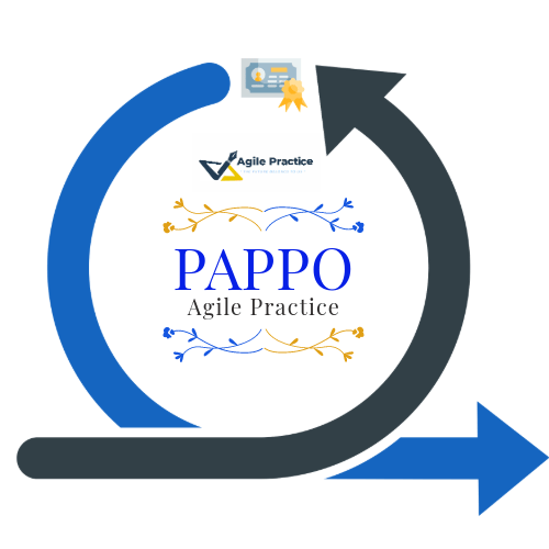 Professional Agile Practice of Product Owner